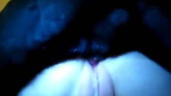 Creamy cunt showcased in a hot bestiality porn video
