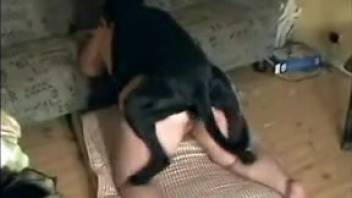 Ebony stud slamming a sexy mature babe doggystyle