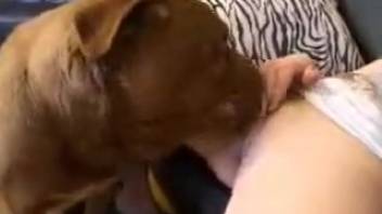 Blonde opens her legs for a house pet to taste her juicy vagina
