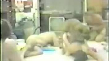 Non-professional female in authentic vintage bestiality footage