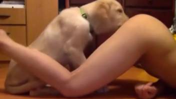 Slender animal lover receiving anilingus from a caring canine