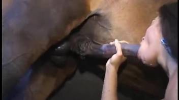 Horny Latina babes share a big horse penis in smashing modes