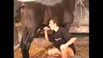 Brunette dude blowing a stud's steamy cock