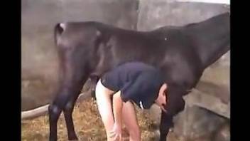 Dark-haired guy bends over to get fucked by a stallion