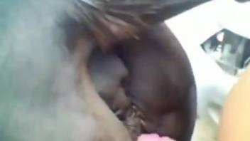 Dude buries his hard cock in a mare's wet pussy