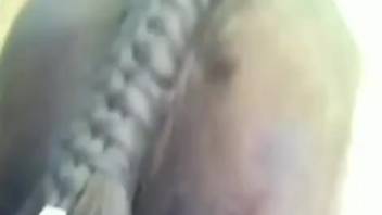 Guy thrusts his erect dick deep into a female horse's moist vagina