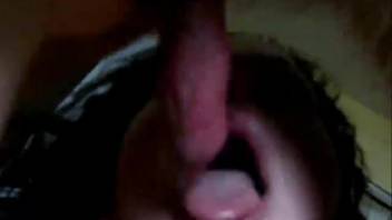 Collection of canine penis satisfaction featuring older promiscuous women
