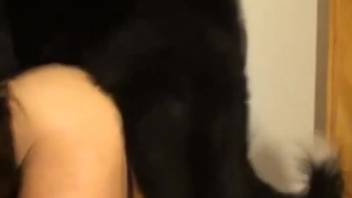 Brutal anal pounding with obedient homosexual animal lovers