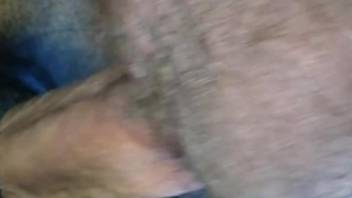 Hairy cock dude fucking a submissive mare outdoors