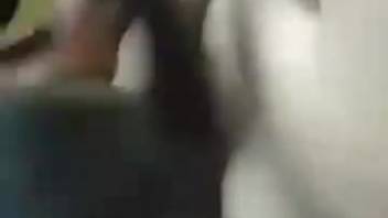 Guy with a bushy dick savoring intense bestiality fucking