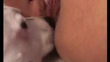 Hot pussy teen gets licked by an eager doggo