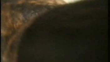 Curvy brunette with a massive booty gets her backside pounded by the dog