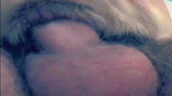 Aroused guy penetrating the snug vagina of a lustful beast