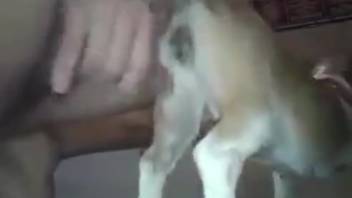 Guy with a raging hard-on takes control of a bitch's steamy snatch