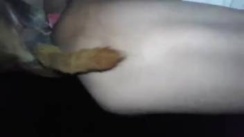 Savage animal anal sex with an obedient homosexual man