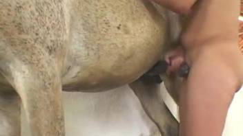 In stable, dirty-minded chick plays with horse's huge tool