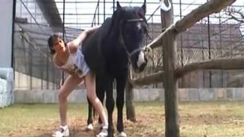 Slim amateur harsh fucked by horse in extreme outdoor zoophilia