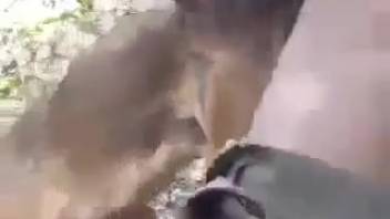 Guy with a limp cock banging an obedient mutt