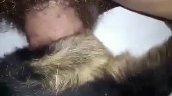 Steamy guy bangs a hot bitch in a kinky animal sex clip