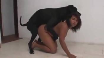 Novice girl 18+ lounges nude as the canine chokes her and penetrates her