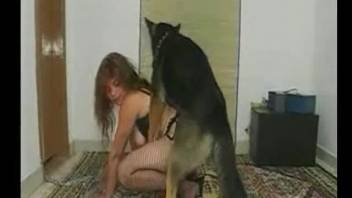 Brunette mature woman ravaged by her own well-hung canine companion right now