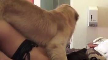 Masked amateur wife filmed when getting laid with the dog