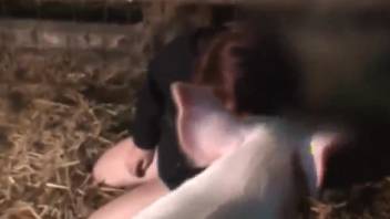 Stunning farm animal sex clip featuring beginners