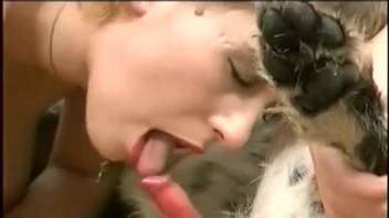 Attractive ladies showcasing their animal sex oral skills