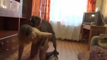Horny dog suits the blonde woman with the right fucking