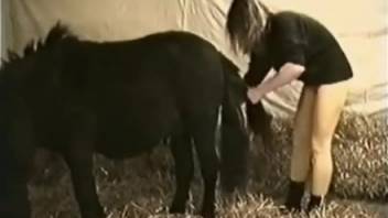 Novice bestiality enthusiast at last discovers a suitable animal to screw