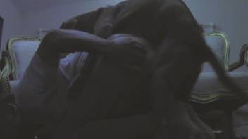 Stunning bestiality scene with a filthy creature
