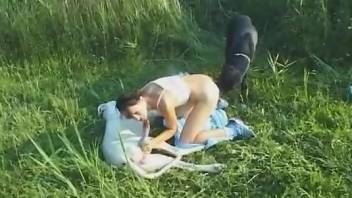 Perky butt brunette getting fucked by two dogs
