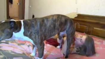 Amazing debut animal sex with a big-breasted teenager