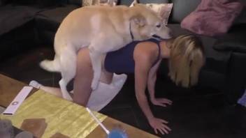 Blonde chick is about to be screwed by a canine