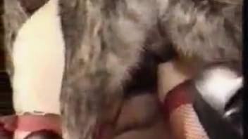 Older woman with tiny breasts, intense fucking doggy style