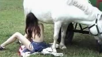 White pony gets a truly good blowjob on the grass