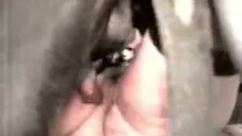 Intimate animal sex scene with a novice beginner