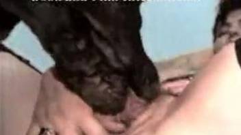 Black dog hardly bangs my sex-addicted zoofil wife