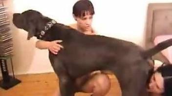 Brunette enjoys deepthroating dog cocks on cam