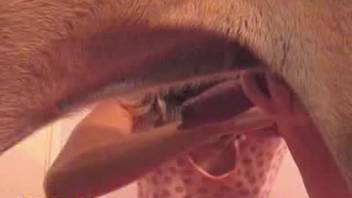 Exposed novice blonde wild moments of at-home bestiality adult content