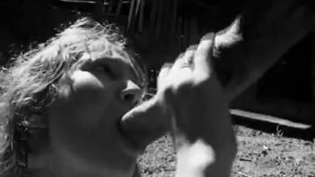 Live cam outdoor animal park dream with a lady and her stallion