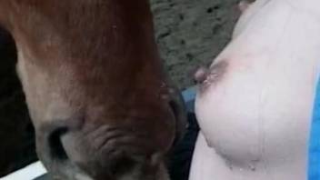 Spicy outdoor zoo scenes with a slutty doll giving head on a horse cock