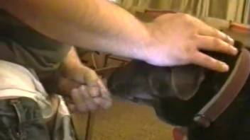 Ebony babe in doggy position takes anal penetration from the rear
