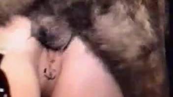 Most attractive canine zoophilia erotic collection