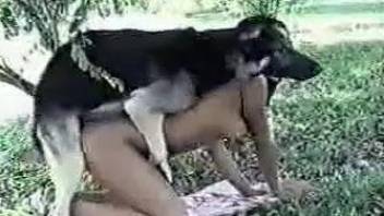 The prettiest dog bestiality sex compilation