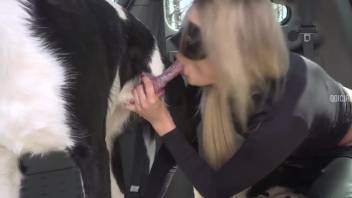 Masked blonde bombshell is ready to screw a canine