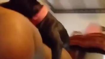 Big booty zoophile enjoying hardcore sex on all fours