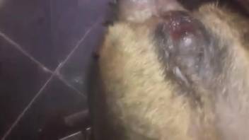 Guy wielding his massive dick to bang a perverted creature
