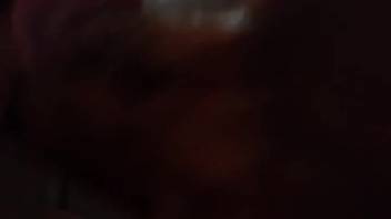 Guy has his dick slurped by an extremely filthy mutt