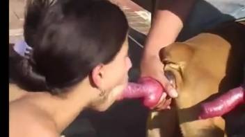 Collection of the sexiest bestiality blowjobs and ejaculations